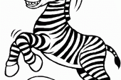 Zebra Boyama Sayfaları